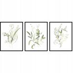  Triptichon poszter szett növény grafika botanika zöld 3db 21x30cm fotopp (botanika zielone liście tryptyk rośliny)