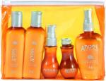 Angel Haircare Professional Zestaw do włosów suchych i normalnych