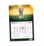 Helma Naptár 2026 Egyrészes Corgi Kutya Helma (N522-26-02)