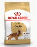 Royal Canin Cocker 12 kg Krakkó