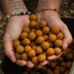 SHIMANO TX1 Boillie Monster Crab 20mm - 1kg