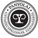 Panyolai Pálinka Meggy Pálinka 1.75l