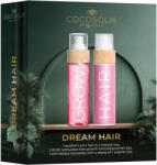 COCOSOLIS Dream Hair Set 210 ml
