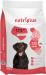  Nutriplus 15kg Nutriplus Adult Dog bárány száraz kutyatáp 5% kedvezménnyel