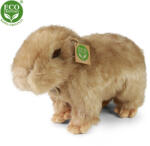 Rappa Plüss capybara 30 cm - plüss játékok