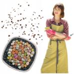  Magok Élő Kövek Lithops Kaktuszok Pozsgások Boldogság MIX Növények (sadzonki egzotyk sukulenty roślina jak)