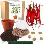 Łatwa Uprawa Chili Paprika Termesztő Szett De Cayenne Paprika Csípős Magok 5 Db (Papryczka chili De Cayenne na sos ostry)