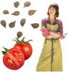 Łatwa Uprawa Paradicsom Mag Piros Vilma Törpe Szabadföldi Ésszerű A Cserépbe (pomidorki na balkon wczesny sadzonki)