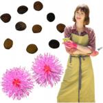 Łatwa Uprawa Magok Mimóza Szégyenletes Termesztés Rózsaszín Csáp Ültetés Magok (pudica włóczka natura mimozy sadzonka)