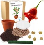 Łatwa Uprawa Szett Díszpaprika Termesztéséhez Zvonek Díszpaprika, Chili Paprika Magok 5 Db (Papryka chili Okrasny zvonek nasiona mix)