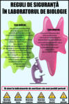 Eosette Sticker Reguli de siguranta in laboratorul de biologie - 60x90 cm