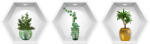 Eosette Sticker Plante Decorative 3D - Nise Hexagon in Perete