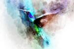Eosette Fototapet Abstract Colibri - eosette - 455,00 RON