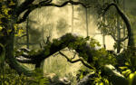 Eosette Fototapet Encahnted Forest - eosette - 455,00 RON