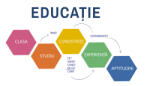 Eosette Autocolant scoli - Educatie Hexagoane - 216x125 cm
