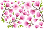 Eosette Sticker Flori de Magnolie - 60x90 cm
