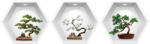 Eosette Sticker Bonsai 3D - Nise Hexagon in Perete