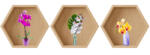 Eosette Sticker Orhidee 3D - Nise Hexagon Lemn