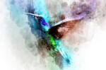 Eosette Fototapet Abstract Colibri - eosette - 960,00 RON