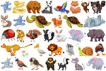 Eosette Sticker Animale Diverse - 60x90 cm