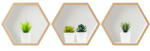 Eosette Sticker Suculente 3D - Nise Hexagon Lemn