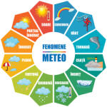 Eosette Autocolant Fenomene Meteo Floare - 125x125 cm