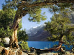Eosette Fototapet Lac de Munte - eosette - 960,00 RON