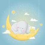 Eosette Fototapet - Elefant Somnoros - eosette - 960,00 RON