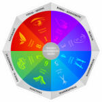 Eosette Sticker educativ Multiple Intelligences -125x125 cm