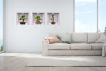 Eosette Sticker Bonsai 3D - Nise Lemn - eosette - 90,00 RON