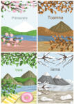 Eosette Sticker educativ - Anotimpuri tip Tablou