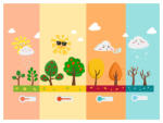 Eosette Sticker educativ - Anotimpuri - eosette - 65,00 RON