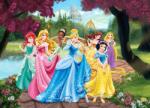 Eosette Fototapet Printese Disney