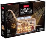 CubicFun 216 db-os 3D puzzle LED világítással - Múzeum sorozat - Brachioszaurusz (L544) (L544)