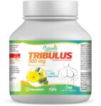 NATURALIS Tribulus 500, 60 capsule, Naturalis