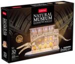 CubicFun L545 - Múzeum sorozat - Kék bálna - 22 db-os 3D puzzle LED világítással (L545)