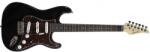 Arrow ST 111 Deep Black Rosewood/T-shell Stratocaster