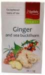 Apotheke - Gyömbér és Homoktövis Tea, 20 filter - Premier Selection