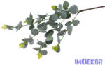  Eukaliptusz ág 67cm - Hamvas