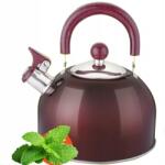  2, 5L-es Apetite Vízforraló, indukciós, rozsdamentes acél, síppal (105-110)