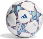 Adidas Lábemelő focilabda Ucl Junior 350 League roz. 4 (IA0941)