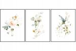  Grafika virágok növények 3db 21x29, 7cm A4 kép szett Keretben triptichon (kwiaty grafiki rośliny zestaw obrazów)