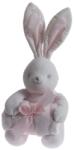 Gamberritos Одеяло с играчка Gamberritos - Зайче, 80 х 110 cm, розово (108844) - baby