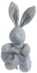 Gamberritos Одеяло с играчка Gamberritos - Зайче, 80 х 110 cm, сиво (108843) - baby