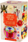 Ministry of Tea of tea organic caribbean ginger spice infusion bio tea 35 g
