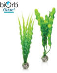 Oase Vízinövény dekoráció - zöld - közepes - 2db - biOrb
