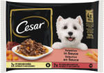 Cesar Felnőtt Kutyaeledel - Csirke+Zöldség & Marha+Répa Szószban - 4x100g (8410136020759)