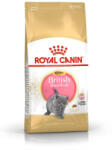 Brit Royal Canin British Shorthair Kitten Cicaeledel - 400g (3182550816526)
