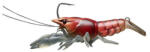  LIVETARGET Live Craw Finess Csali - Vörös Rák, Lassú Süllyedés