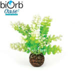 Oase Tengeri alga dekoráció - 10 cm - biOrb